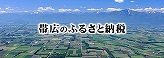 帯広のふるさと納税サイトへ