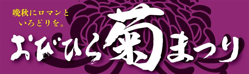 おびひろ菊まつり